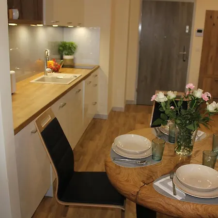 Orle Gniazdo Apartment *